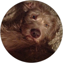 Lesley Wackett profile picture